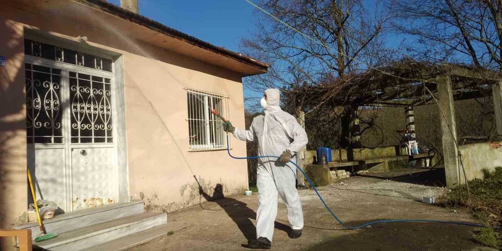 DÜZCE’DE SON DÖNEMDE POPÜLASYONU ARTIŞ GÖSTEREN VE EVLERE KADAR GİRMEYE BAŞLAYAN, ÖZELLİKLE DE...