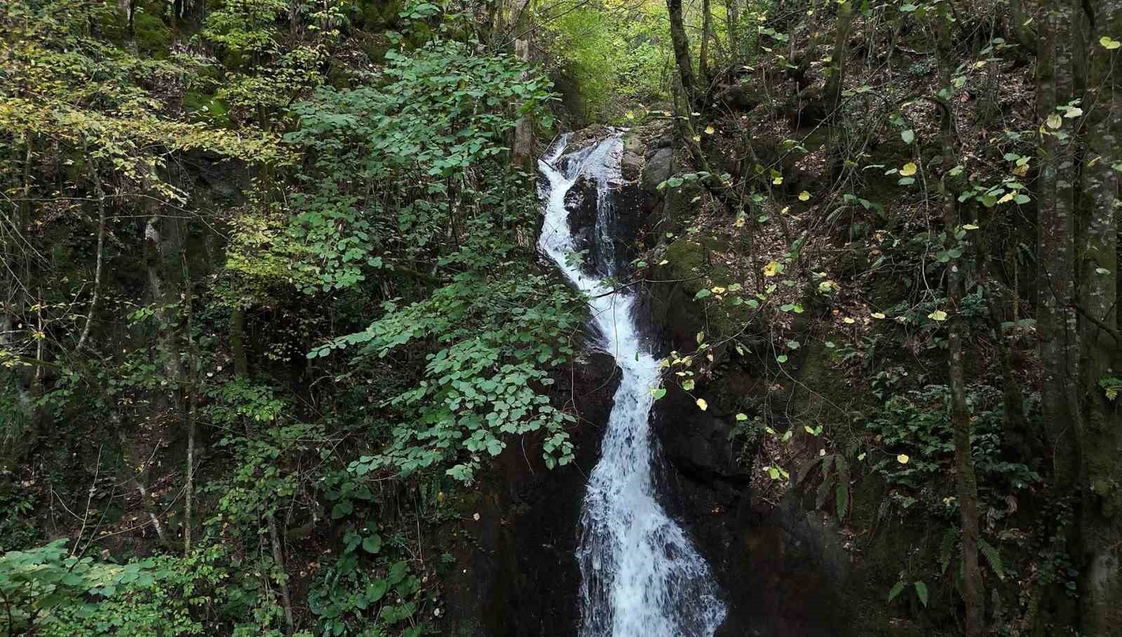 DÜZCE’NİN AYDINPINAR KÖYÜ’NDE BULUNAN VE AĞAÇLARIN ARASINDAN AKAN AYDINPINAR ŞELALESİ HEM YAZ HEM...