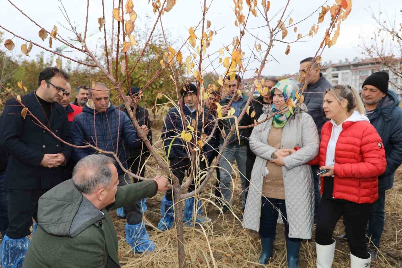 ELAZIĞ’DA İL TARIM VE ORMAN MÜDÜRLÜĞÜ PERSONELLERİNE AĞAÇ BUDAMA VE AŞILAMA EĞİTİMİ...