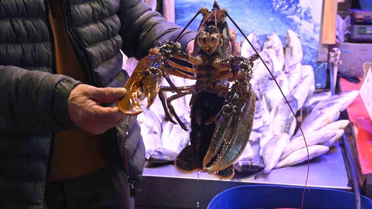 ERKAN ASLANBENZER ESKİŞEHİR'E İSKENDERUN'DAN GETİRİLEN YILAN BALIĞI, RESTORANLARA VE ÖZEL...