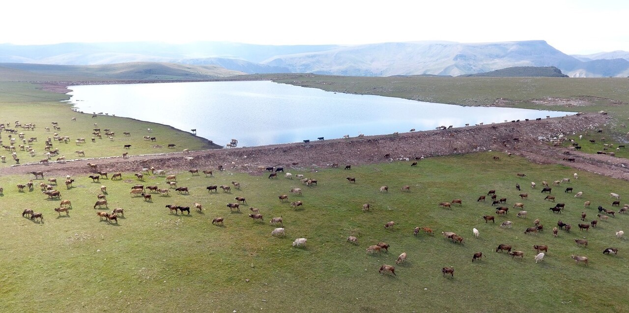 ERZURUM BÜYÜKŞEHİR BELEDİYESİ, GÖLET YAPIMINDA DA YEREL YÖNETİMLERE ROL MODELİ OLDU. ERZURUM...