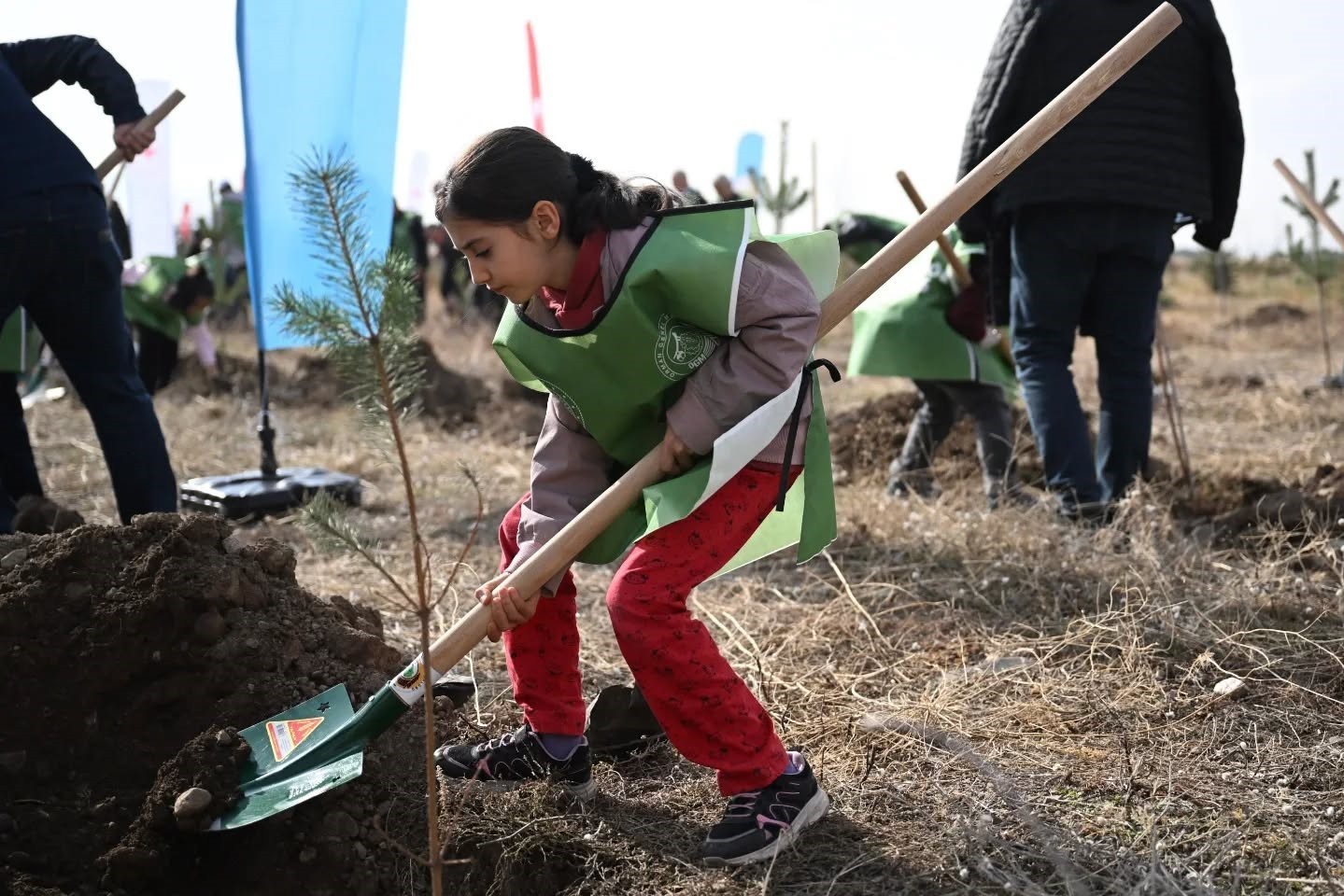 ERZURUM’DA 11 KASIM MİLLİ AĞAÇLANDIRMA GÜNÜ’NDE 3 BİN FİDAN TOPRAKLA BULUŞTU