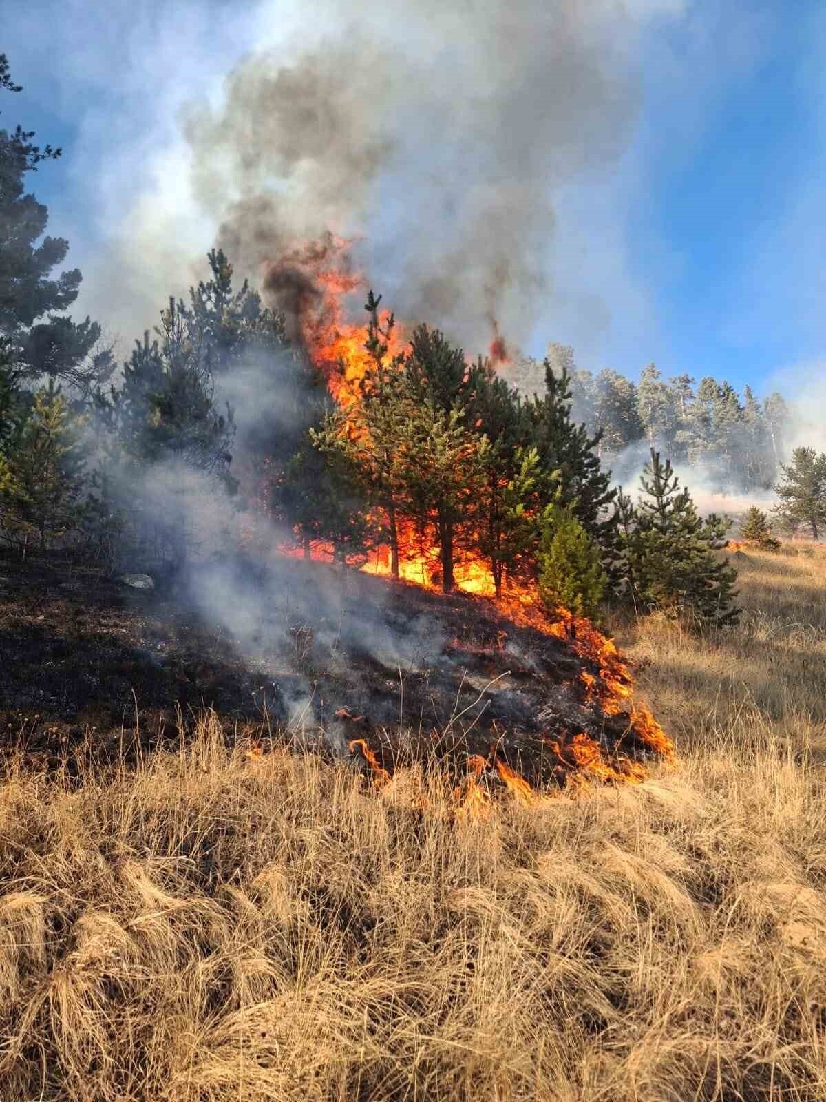 ERZURUM’UN ŞENKAYA İLÇESİNDE 3 AYRI NOKTADA ÇIKAN ORMAN YANGININDAN İKİSİ KONTROL ALTINA...
