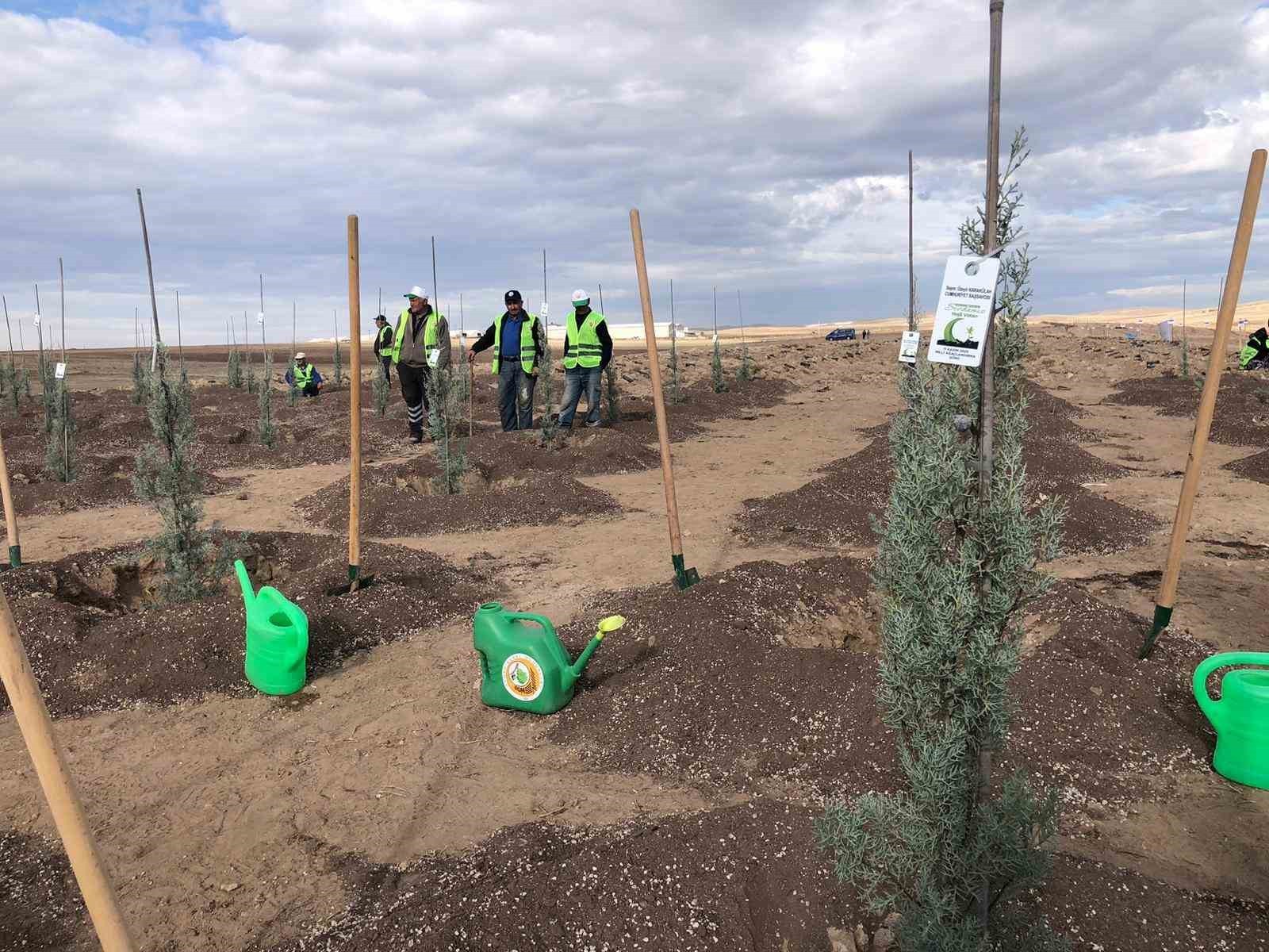 ESKİŞEHİR’DE 11 KASIM MİLLİ AĞAÇLANDIRMA GÜNÜ KAPSAMINDA 20 BİN FİDAN, PROTOKOL ÜYELERİ...