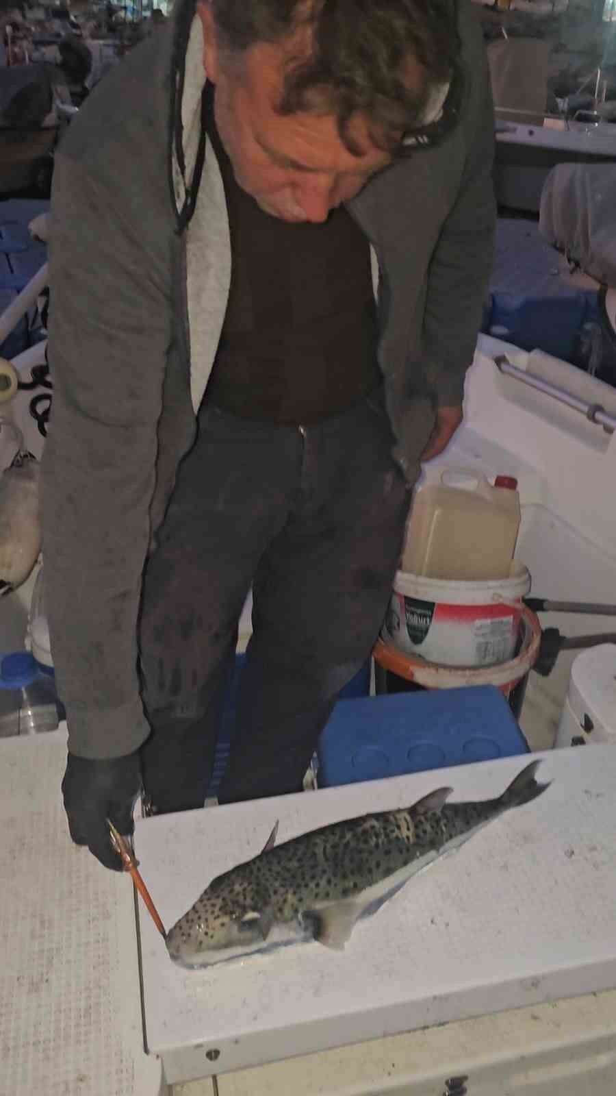 GEMLİK KÖRFEZİ’NDE AKŞAM SAATLERİNDE OLTASINI DENİZE ATAN AMATÖR TEKNE OLTACISI ÖMER PİŞMAN, ENDER...