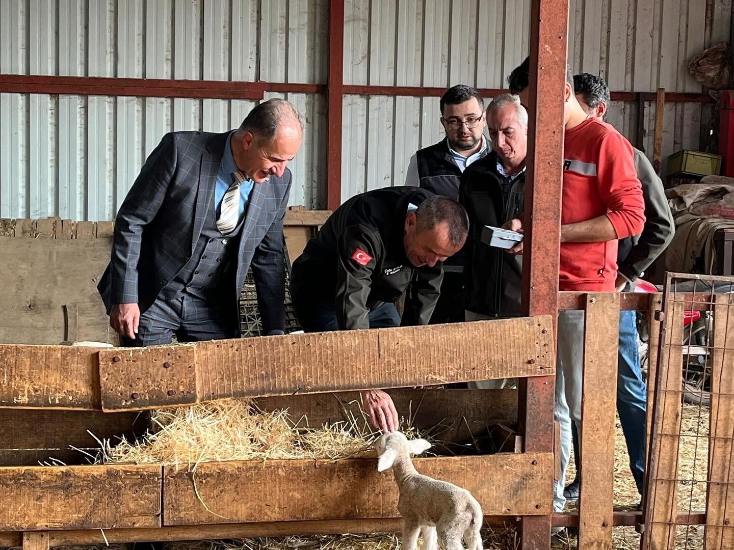 GENÇ GİRİŞİMCİYE YÜZDE 100 HİBE DESTEĞİYLE HAYVANCILIK PROJESİ