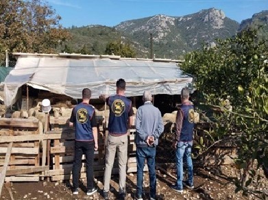 GERMENCİK’TE ÇALINAN HAYVANLAR BULUNARAK SAHİBİNE TESLİM EDİLDİ