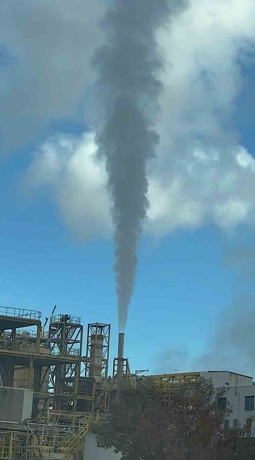 GIDA, YEM VE ENDÜSTRİYEL ÜRÜNLER ÜZERİNE FAALİYET GÖSTEREN ABD'Lİ CARGİLL FİRMASININ BURSA...