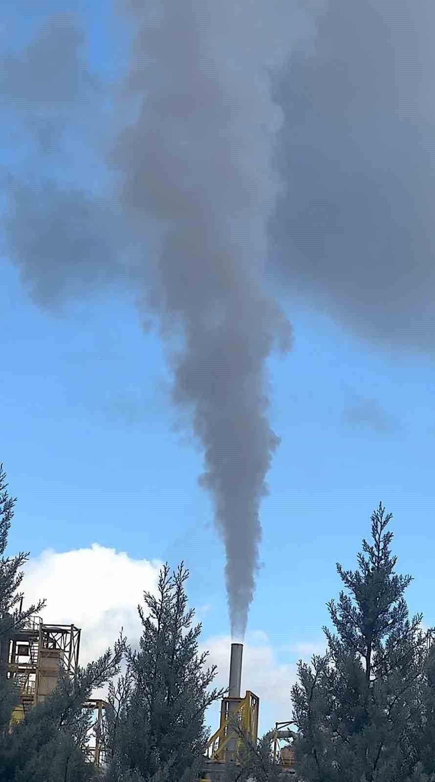 GIDA, YEM VE ENDÜSTRİYEL ÜRÜNLER ÜZERİNE FAALİYET GÖSTEREN ABD'Lİ CARGİLL FİRMASININ BURSA...