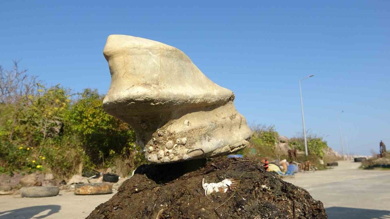 GİRESUN’UN BULANCAK İLÇESİNDE DENİZDE BULUNAN CİSİM BALIKÇILARI ŞAŞIRTTI