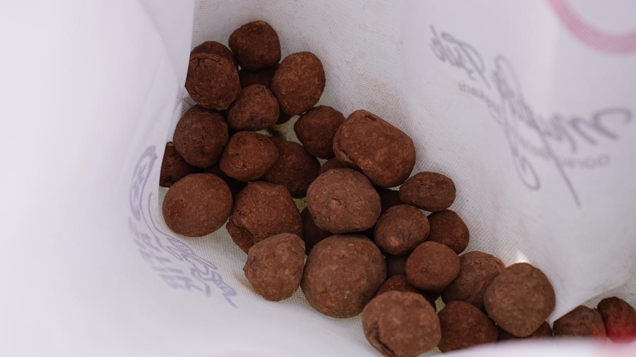 GÜRSU’DA ÖĞRENCİLER TARAFINDAN HAZIRLANAN TOHUM TOPLARI, İLÇEDE GEÇEN TEMMUZ AYINDA ÇIKAN ORMAN...