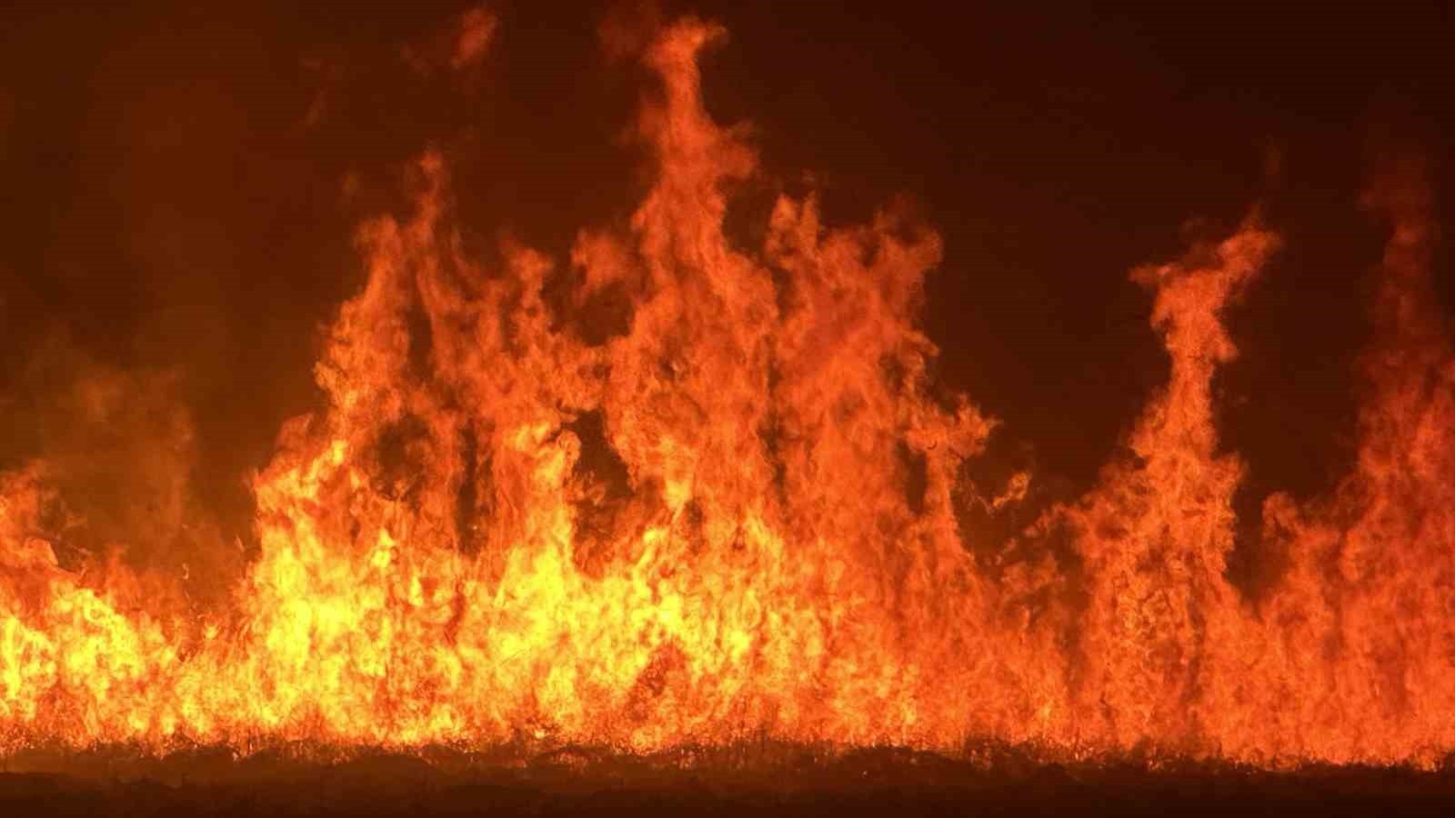 HAKKARİ’NİN YÜKSEKOVA İLÇESİNDE, YÜZLERCE KUŞ TÜRÜNE EV SAHİPLİĞİ YAPAN NEHİL SAZLIĞI’NDA ÇIKAN...