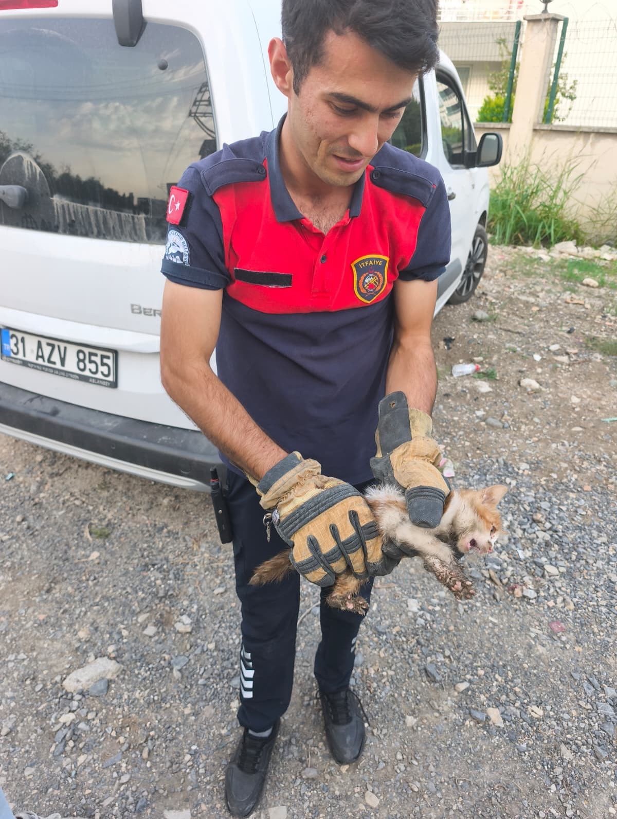 HATAY'DA ARACIN KAPUT KISMINA GİREREK MAHSUR KALAN YAVRU KEDİ, İTFAİYE EKİPLERİ TARAFINDAN...