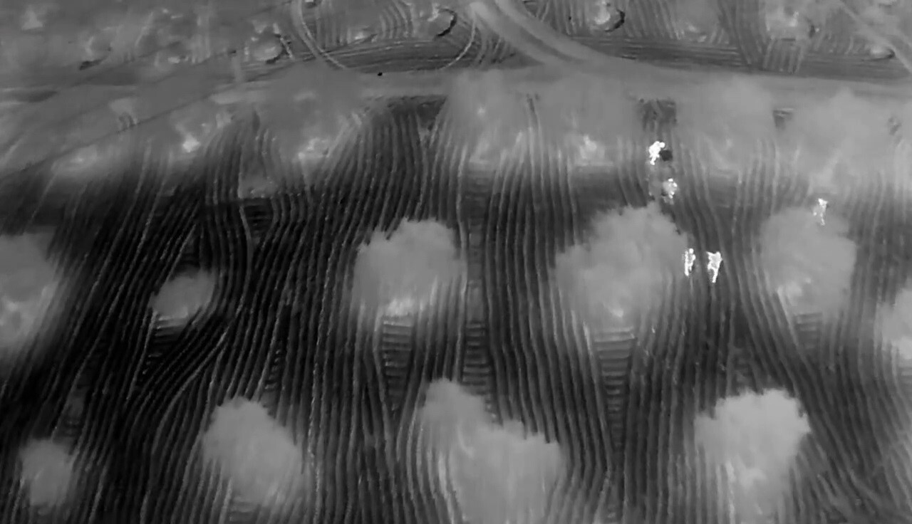 HATAY'DA JANDARMA EKİPLERİNİN GERÇEKLEŞTİRDİĞİ ÇALIŞMADA ZEYTİN BAHÇESİ İÇERİSİNDE TORBADA...