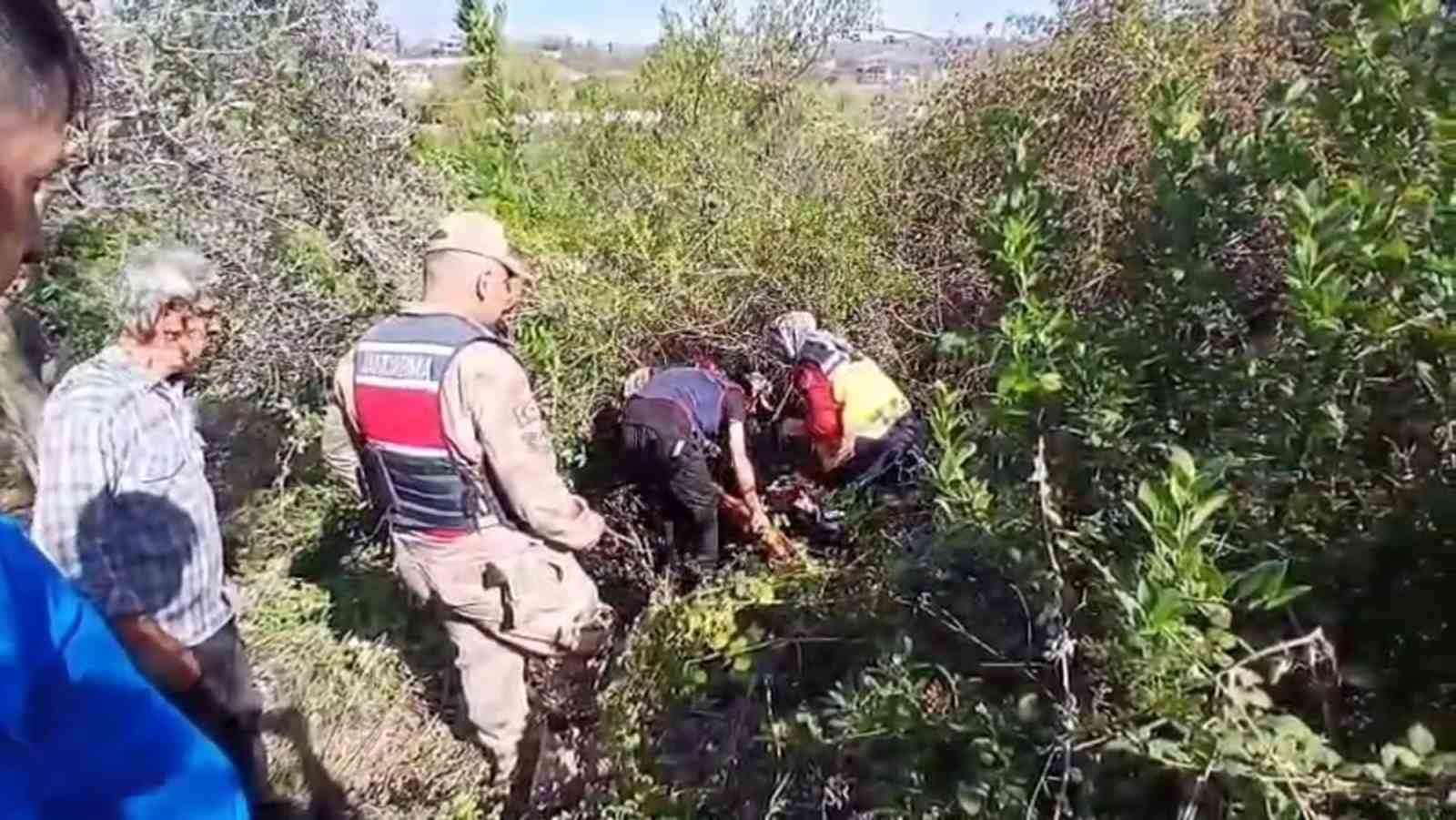 HATAY'DA KAYBOLAN 75 YAŞINDAKİ GÖRME ENGELLİ VATANDAŞ JANDARMA EKİPLERİNCE ZEYTİNLİK İÇERİSİNDE...