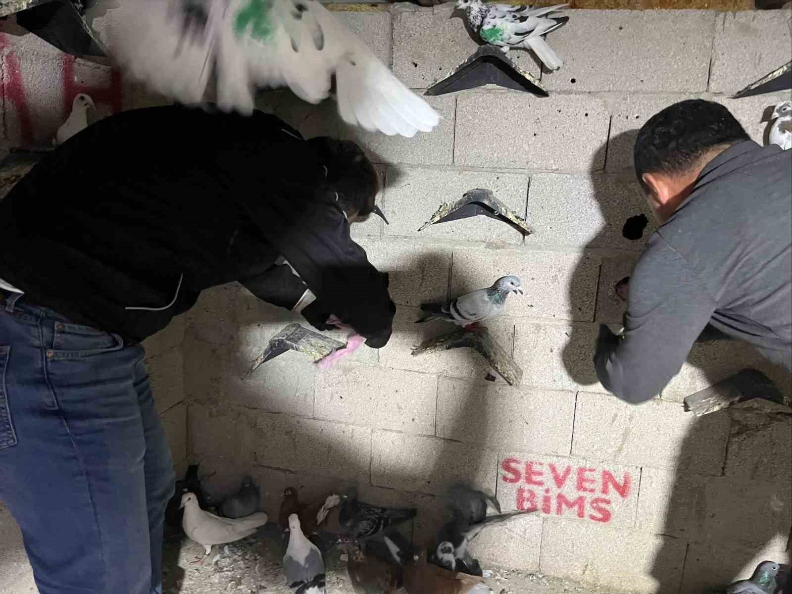 HATAY’DA KUŞ KÜMESİNDEN 2 KİLO 500 GRAM UYUŞTURUCU MADDE VE PARA ÇIKTI