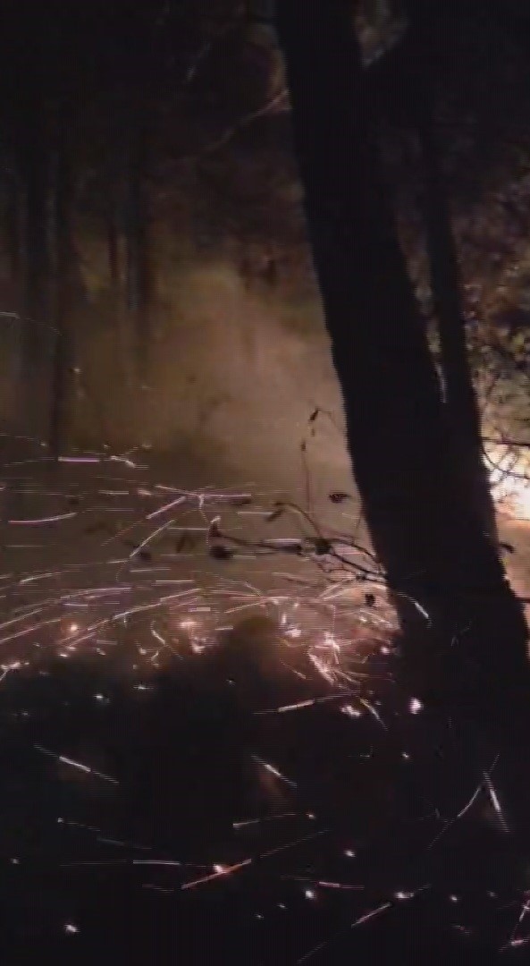 HATAY’IN ARSUZ İLÇESİNDE YILDIRIMIN DÜŞTÜĞÜ ORMANLIK ALANDA ÇIKAN YANGIN, EKİPLERİN MÜDAHALESİYLE...