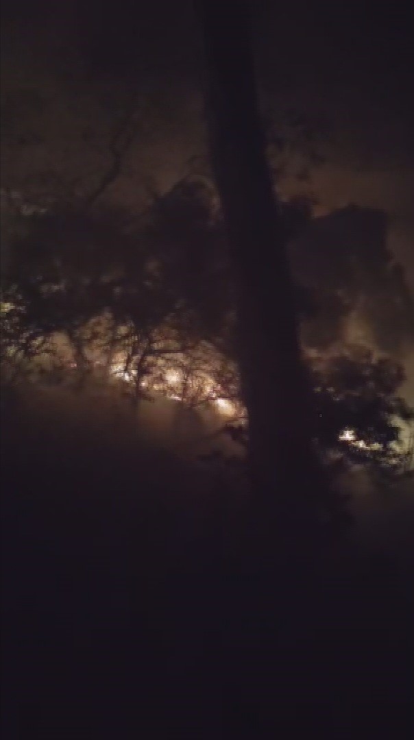 HATAY’IN ARSUZ İLÇESİNDE YILDIRIMIN DÜŞTÜĞÜ ORMANLIK ALANDA YANGIN ÇIKTI. YANGINA ÇOK SAYIDA...