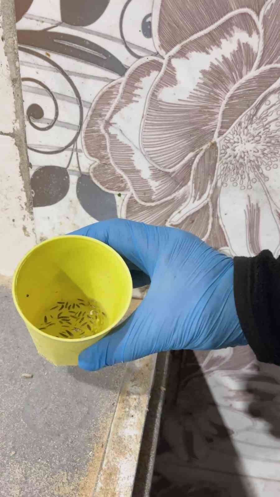 HATAY’IN KIRIKHAN İLÇESİNDE ZABITA EKİPLERİNİN FIRINLARA YÖNELİK GERÇEKLEŞTİRDİĞİ DENETİMDE MİDE...