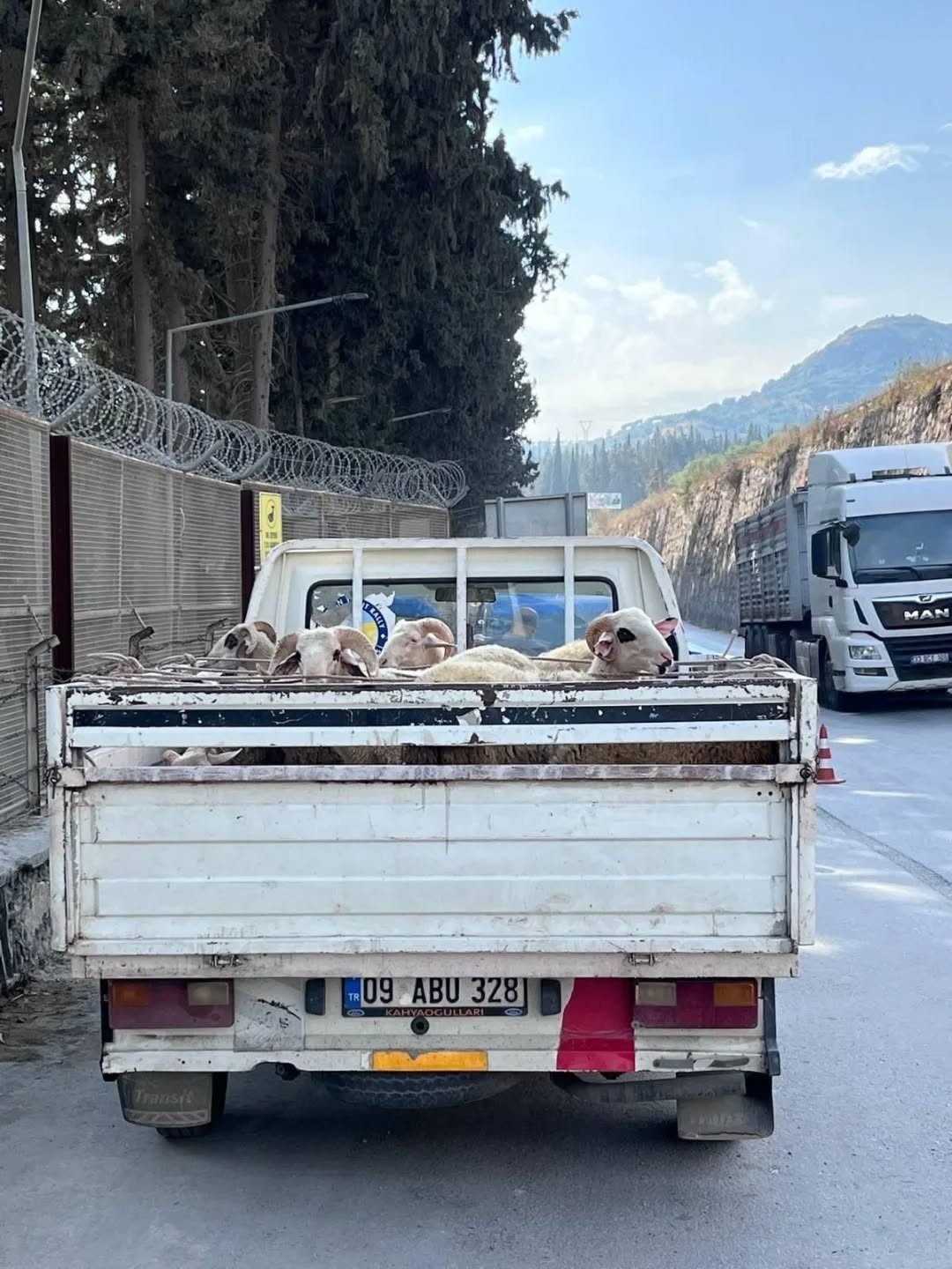 HAYVAN HASTALIKLARI İLE MÜCADELEDE YOL KONTROLLERİ DEVAM EDİYOR