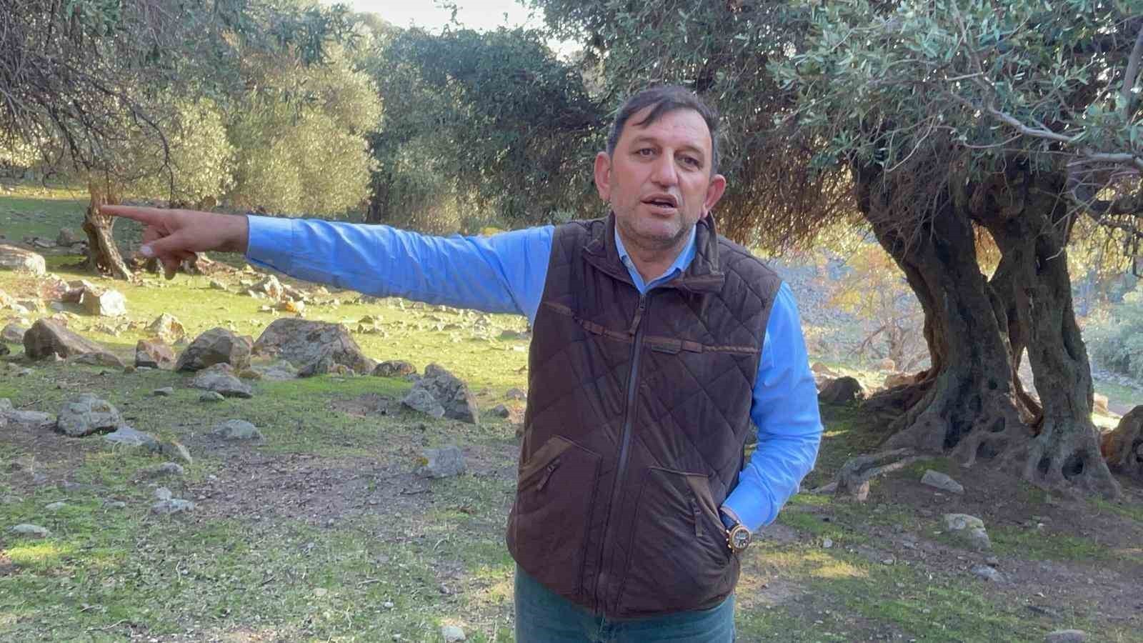 İSPANYA, İTALYA VE KANADA'DAN SONRA TÜRKİYE'DE SADECE GÖKÇEADA'DA YETİŞEN VE TAMAMEN DOĞAL OLAN...