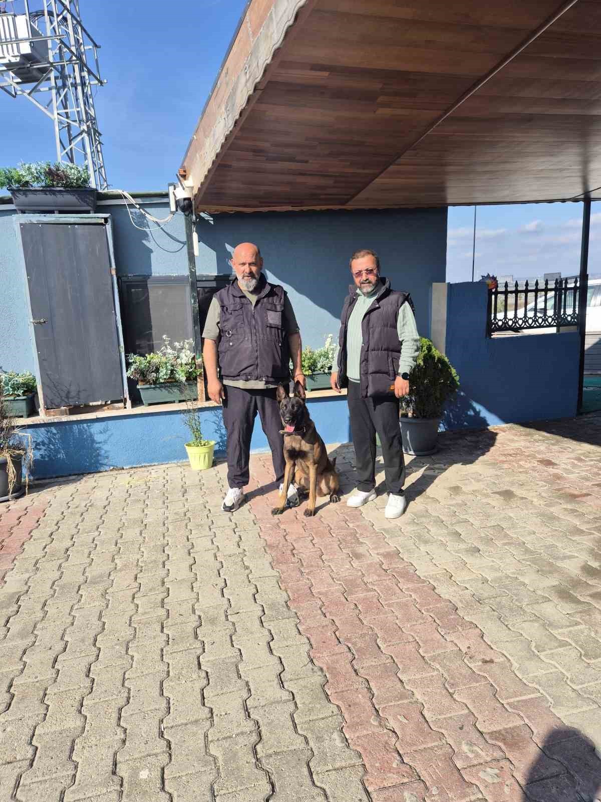 İSTANBUL SİLİVRİ'DE FAALİYET GÖSTEREN KÖPEK EĞİTMENİ EREN AY, "HER KÖPEK DOĞRU YÖNLENDİRMEYLE...