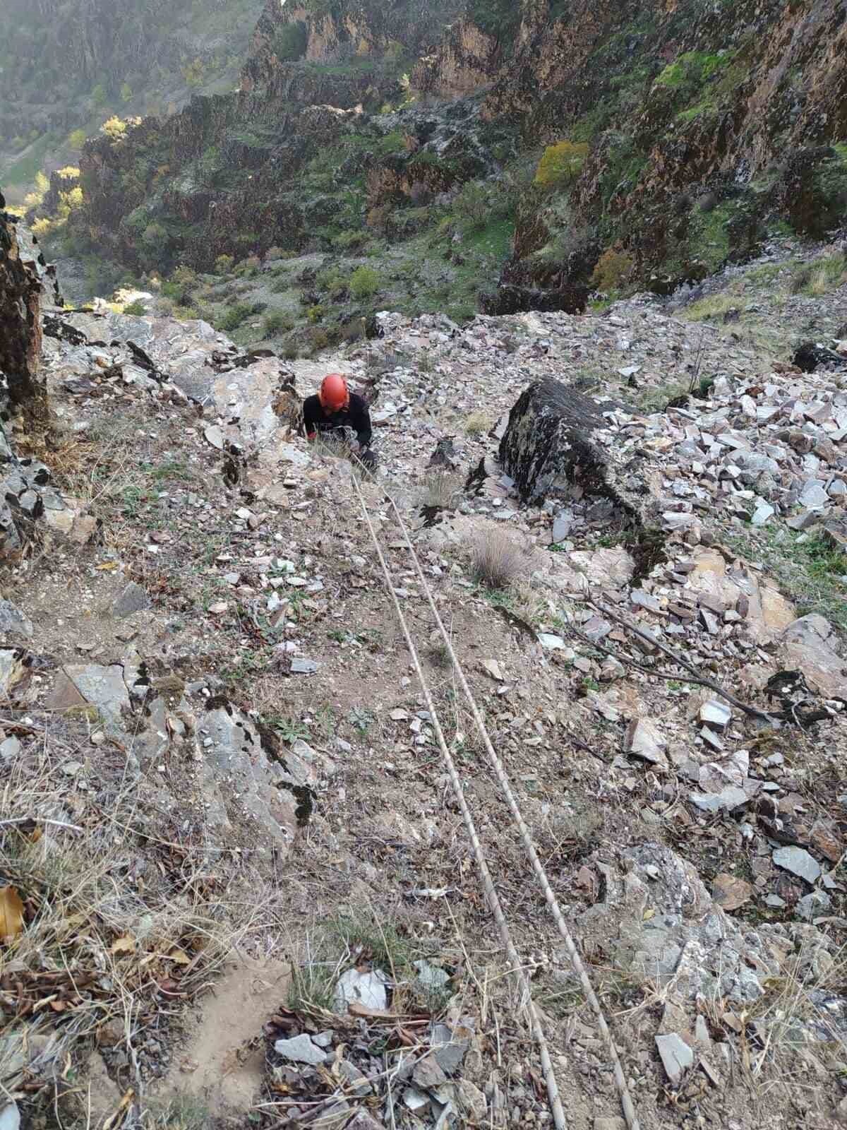 KAHRAMANMARAŞ'TA KAYALIKLARDA MAHSUR KALAN 5 KEÇİ KURTARILARAK SAHİBİNE TESLİM EDİLDİ