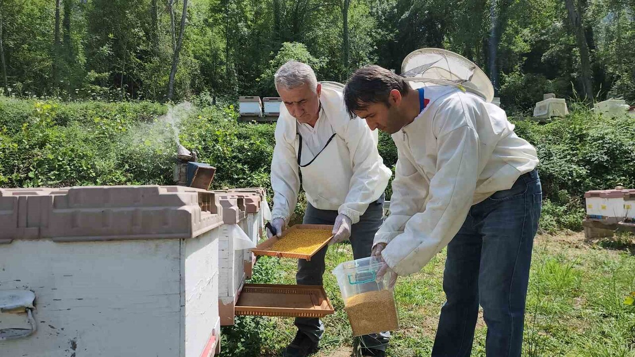 KARABÜK’ÜN YENİCE IHLAMUR BALI, AVRUPA BİRLİĞİ KOMİSYONU TARAFINDAN COĞRAFİ İŞARET OLARAK TESCİL...
