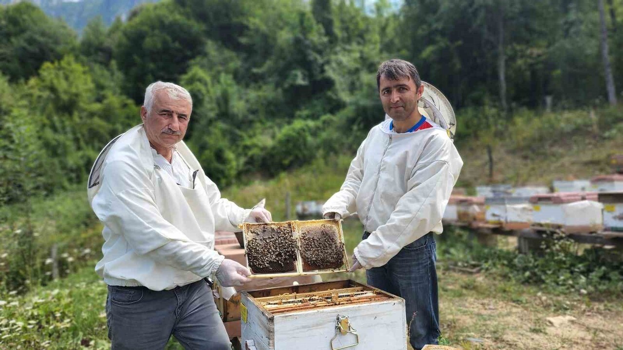 KARABÜK’ÜN YENİCE IHLAMUR BALI, AVRUPA BİRLİĞİ KOMİSYONU TARAFINDAN COĞRAFİ İŞARET OLARAK TESCİL...