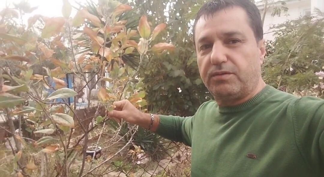 KARATAŞ İLÇESİNDE BAHÇESİNDEKİ ELMA AĞAÇLARI ÇİÇEK AÇIP MEYVE VEREN  HAKİM TAKINTI, MART AYINDA...