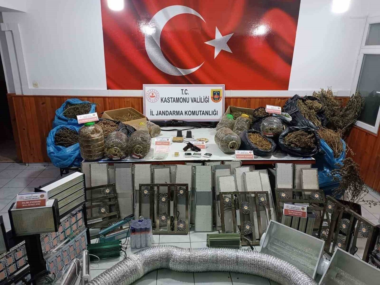 KASTAMONU’DA ÇİFTLİK EVLERİNDE KENEVİR YETİŞTİREN VE JANDARMA EKİPLERİNİN OPERASYONU İLE YAKALANAN...