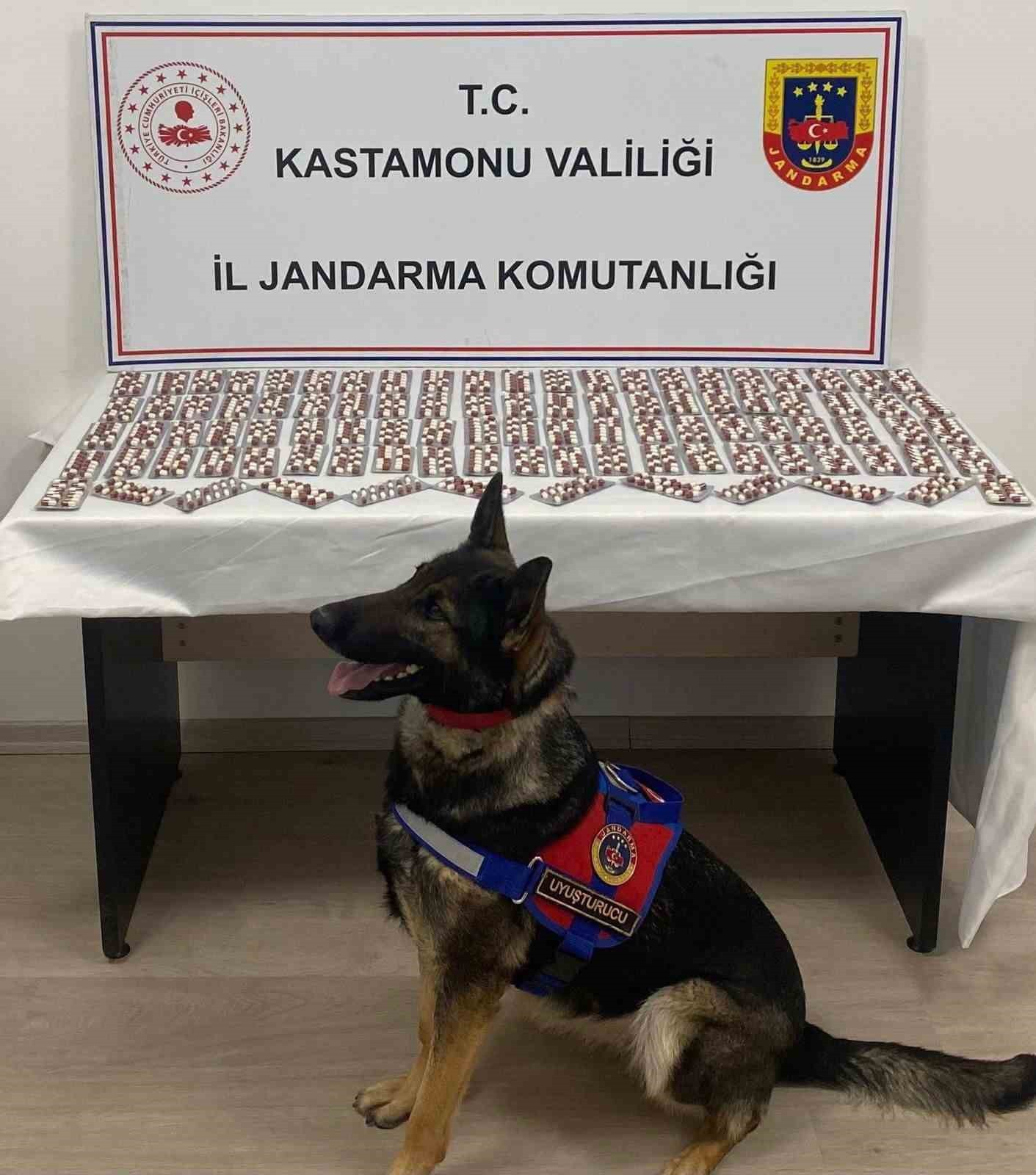 KASTAMONU İL JANDARMA KOMUTANLIĞI TARAFINDAN TOSYA İLÇESİNDE BİN 344 ADET SENTETİK ECZA HAPI ELE...