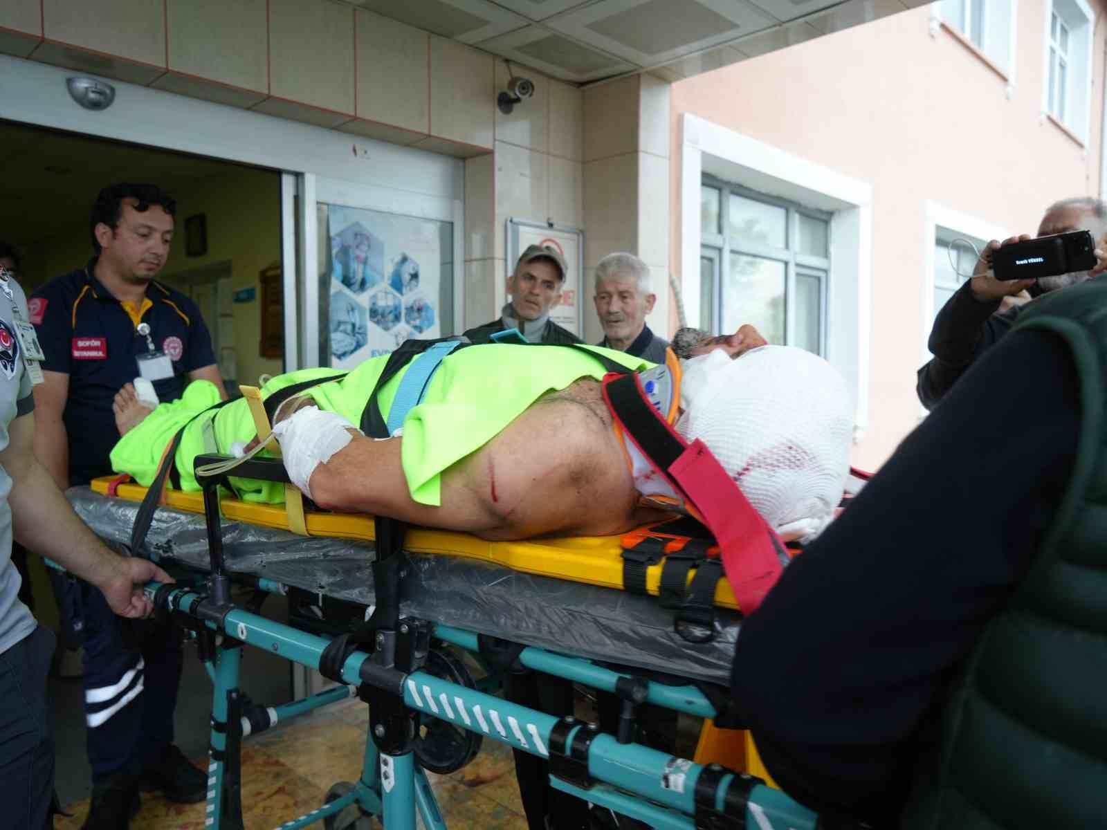 KASTAMONU’NUN ABANA İLÇESİNDE ORMANLIK ALANDA MANTAR TOPLADIĞI SIRADA AYININ SALDIRISINA UĞRAYAN...