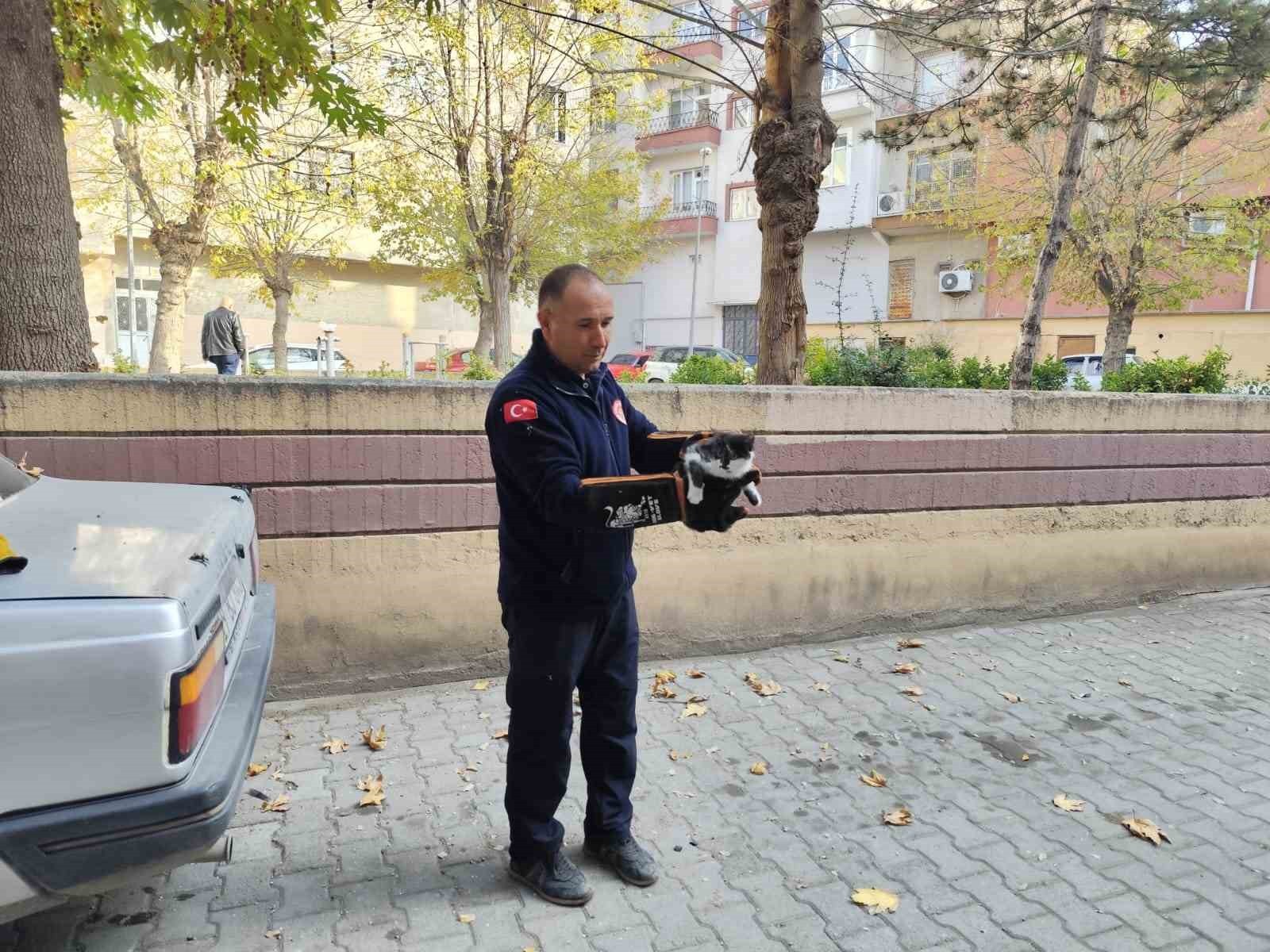 KEDİYİ AĞAÇTAN İNDİREN İTFAİYE ERİ VE KEDİ