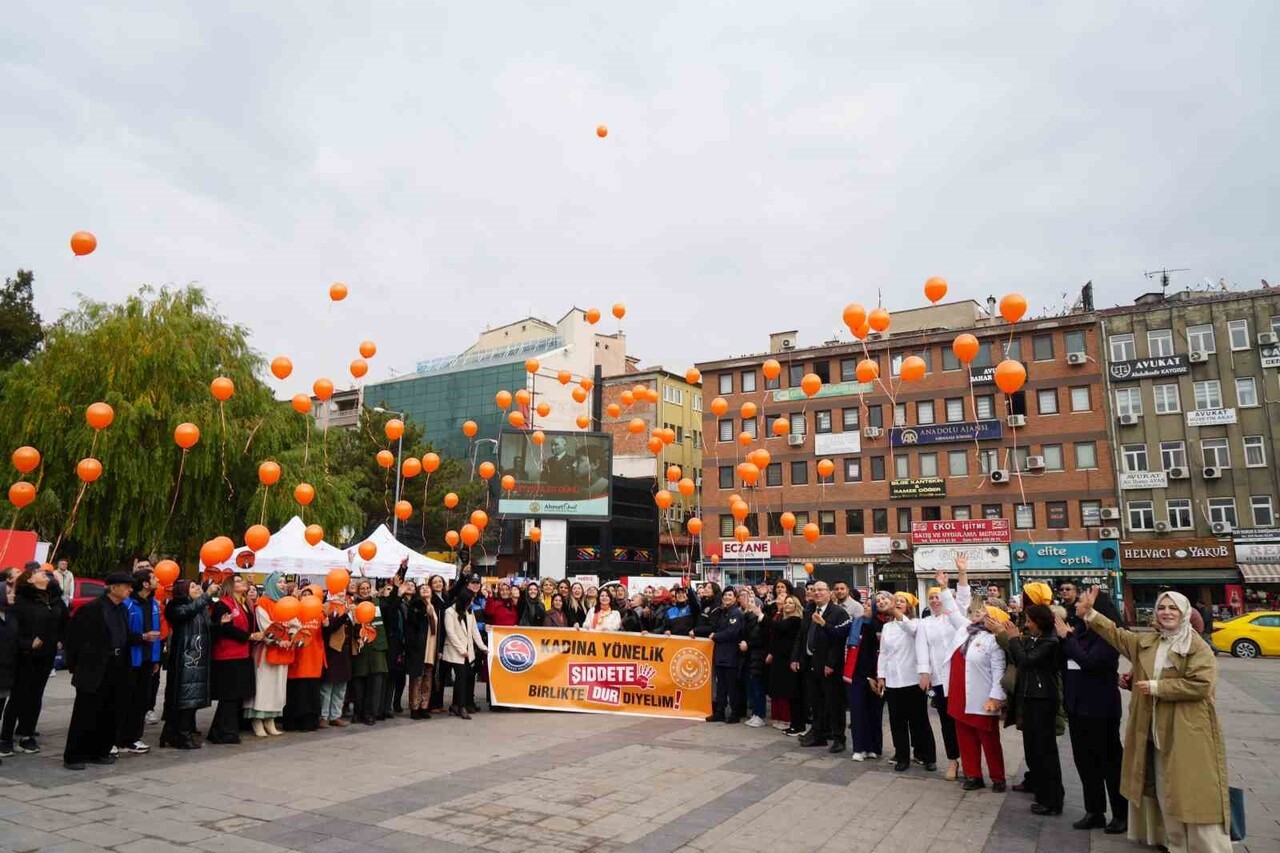 KIRIKKALE'DE 25 KASIM KADINA YÖNELİK ŞİDDETE KARŞI ULUSLARARASI MÜCADELE GÜNÜ KAPSAMINDA...