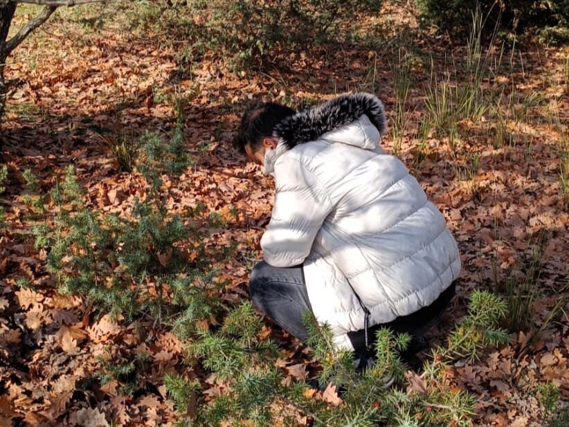 KIRKLARELİ'DE HUBUBAT ALANLARINDA SÜNE ZARARLISINDAN KORUMAK AMACIYLA "SONBAHAR KIŞLAK SÜRVEYLERİ"...