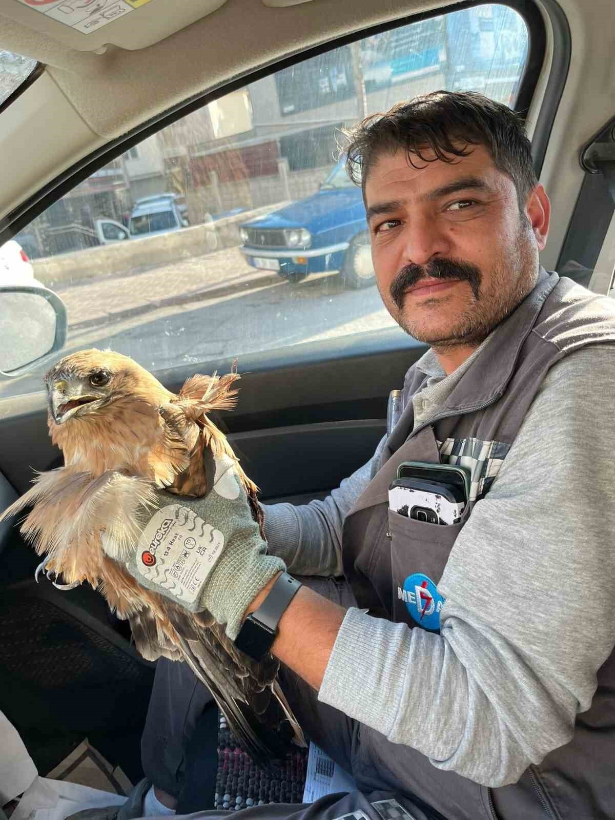 KIRŞEHİR’DE BİR VATANDAŞ TARAFINDAN YARALI HALDE BULUNAN ŞAHİN TEDAVİ ALTINA ALINDI.