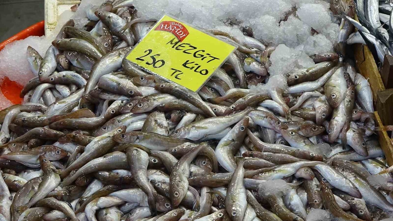 KOCAELİ'DE BALIK TEZGAHLARDA BOLLUK HENÜZ GÖRÜLMESE DE, BALIK TÜRLERİNİN ÇEŞİTLİLİĞİ ÖN PLANA...