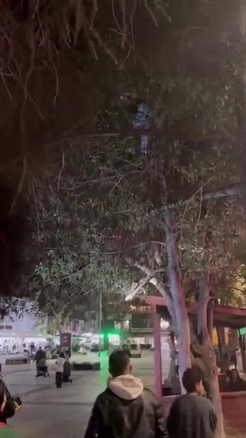 KOCAELİ'DE OYUN OYNAYAN ÇOCUKLARIN TOPU, AĞACIN DALLARI ARASINDA KALDI. TOPU ALMAK İÇİN AĞACA...