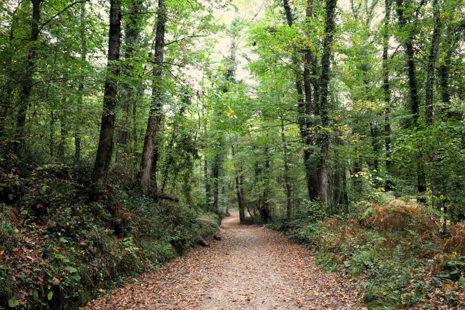 KOCAELİ BÜYÜKŞEHİR BELEDİYESİ BÜNYESİNDE HİZMET VEREN ORMANYA DOĞAL YAŞAM PARKI, SONBAHAR...