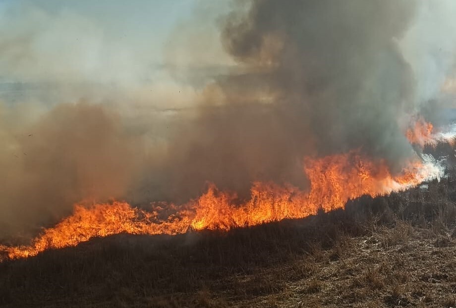 KONYA’NIN BEYŞEHİR İLÇESİNDE İKİ AYRI SAZLIK ALANDA YANGIN ÇIKTI.