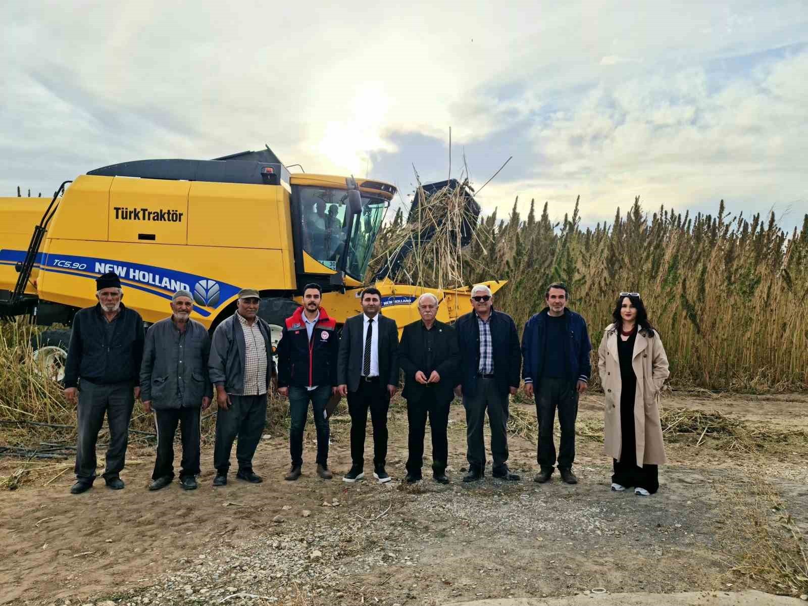 KONYA’NIN KULU İLÇESİNDE, 15 DEKARLIK ALANDA EKİMİ YAPILAN ENDÜSTRİYEL KENEVİRİN HASADINA...