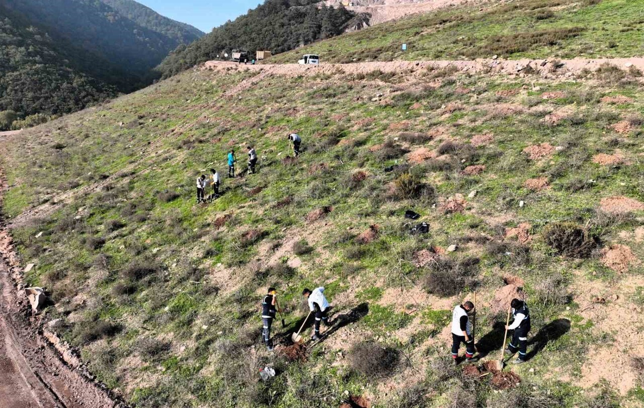 KÖRFEZ BELEN MAHALLESİ’NDE 180 BİN METREKARELİK ALANDA BAŞLATILAN AĞAÇLANDIRMA ÇALIŞMASIYLA KENTE...