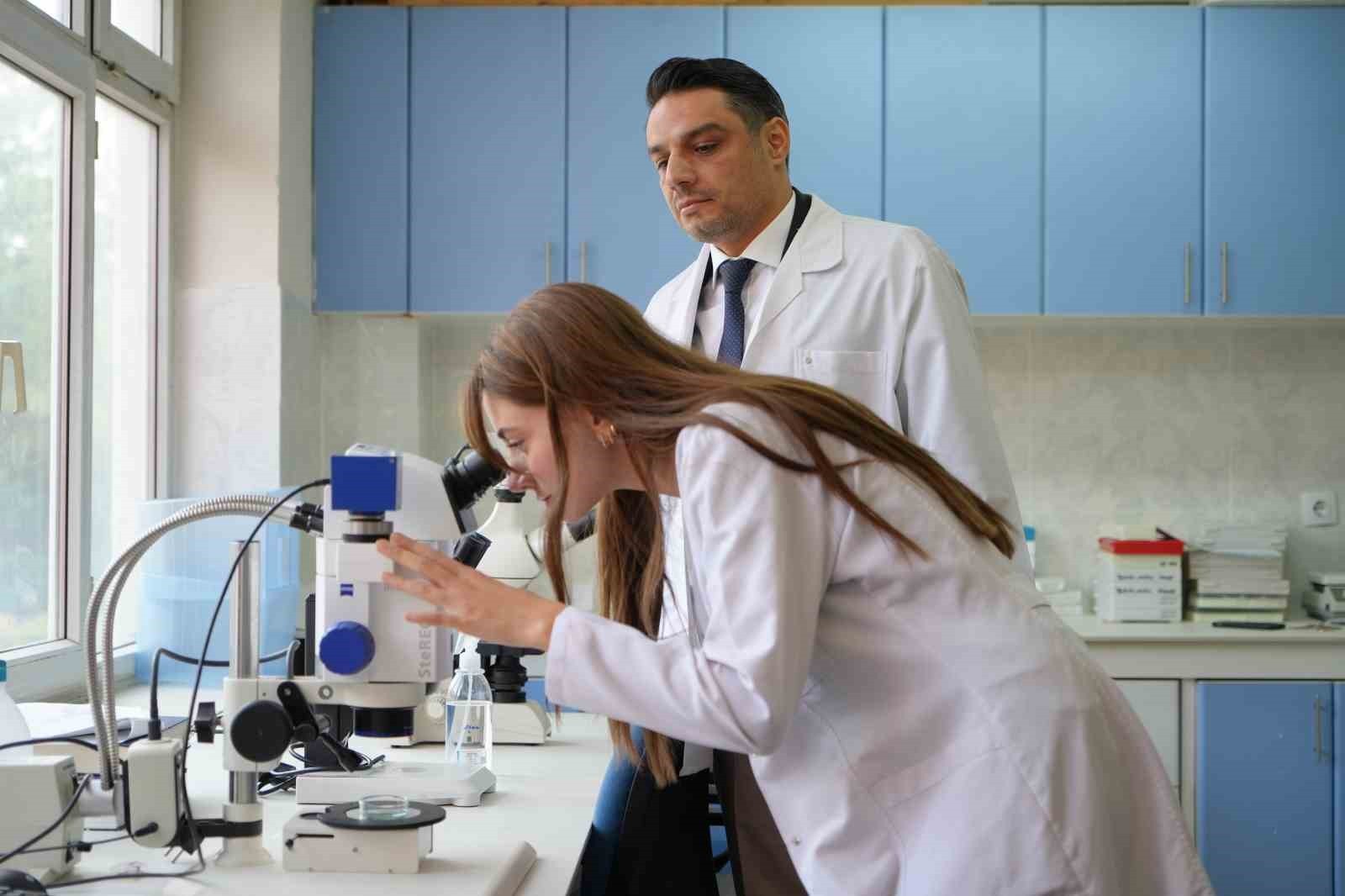 KURAKLIĞIN ARDINDAN SİNEK İSTİLASI BAŞLADI