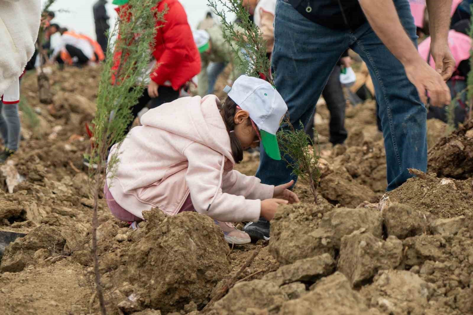MANİSA’DA 11 KASIM MİLLİ AĞAÇLANDIRMA GÜNÜ DOLAYISIYLA YANGINDA KÜLE DÖNEN ORMANLIK ALANLARDA...