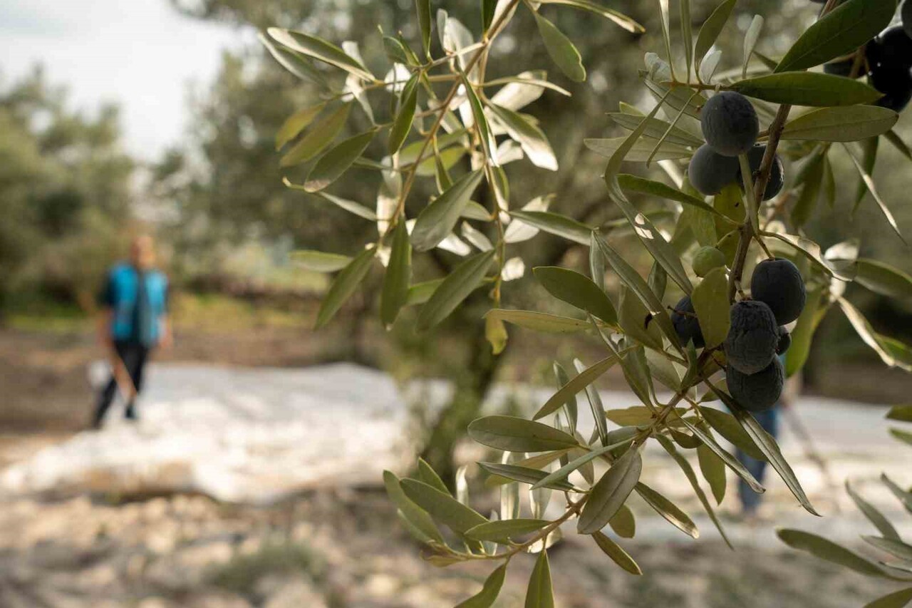 MANİSA’DA DENETİMLİ SERBESTLİK MÜDÜRLÜĞÜ YÜKÜMLÜLERİ, YUNUSEMRE İLÇE MİLLİ EĞİTİM MÜDÜRLÜĞÜ VE...