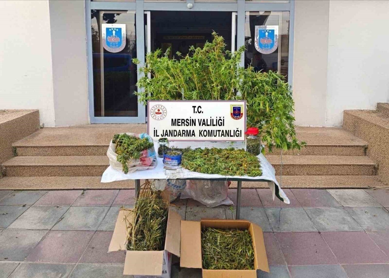 MERSİN'DE JANDARMA EKİPLERİNİN YAPTIĞI ÇALIŞMADA YASADIŞI KENEVİR EKİP UYUŞTURUCU MADDE ÜRETEN...