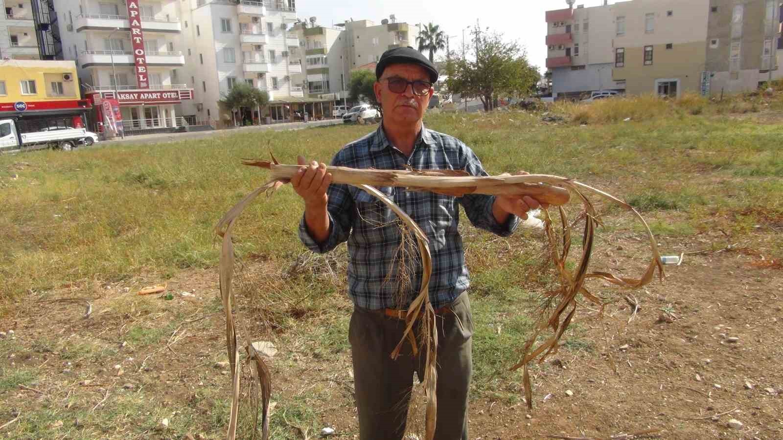 MERSİN'İN SİLİFKE İLÇESİNDE YAŞAYAN 64 YAŞINDAKİ ALİ DAYICIK, YAZ AYLARINDA ARTAN KURAKLIK...