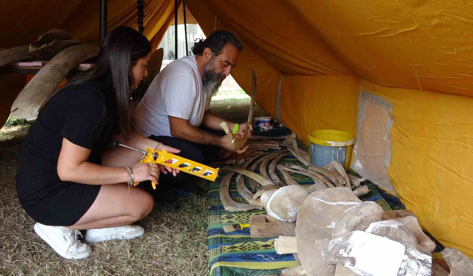 MERSİN’DE 4 YIL ÖNCE ÖLEN VE MÜZE BAHÇESİNE GÖMÜLEN 16 METRELİK FİN BALİNASININ ÇIKARILAN...