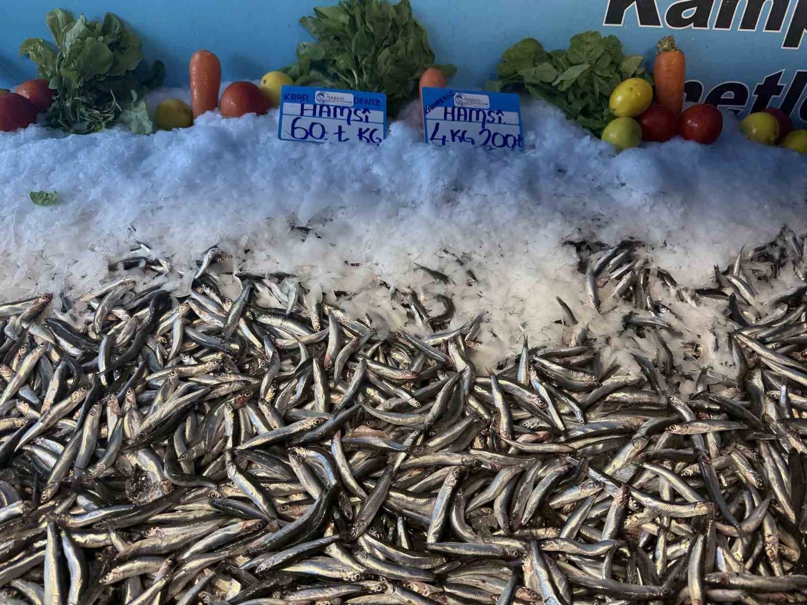 MEVSİM ŞARTLARINA BAĞLI OLARAK BOLLAŞAN HAMSİNİN KİLOGRAM FİYATI BU HAFTA BAŞINDAN İTİBAREN...